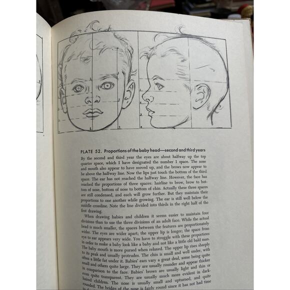 Drawing the Head and Hands by Andrew Loomis - Picture 6 of 7